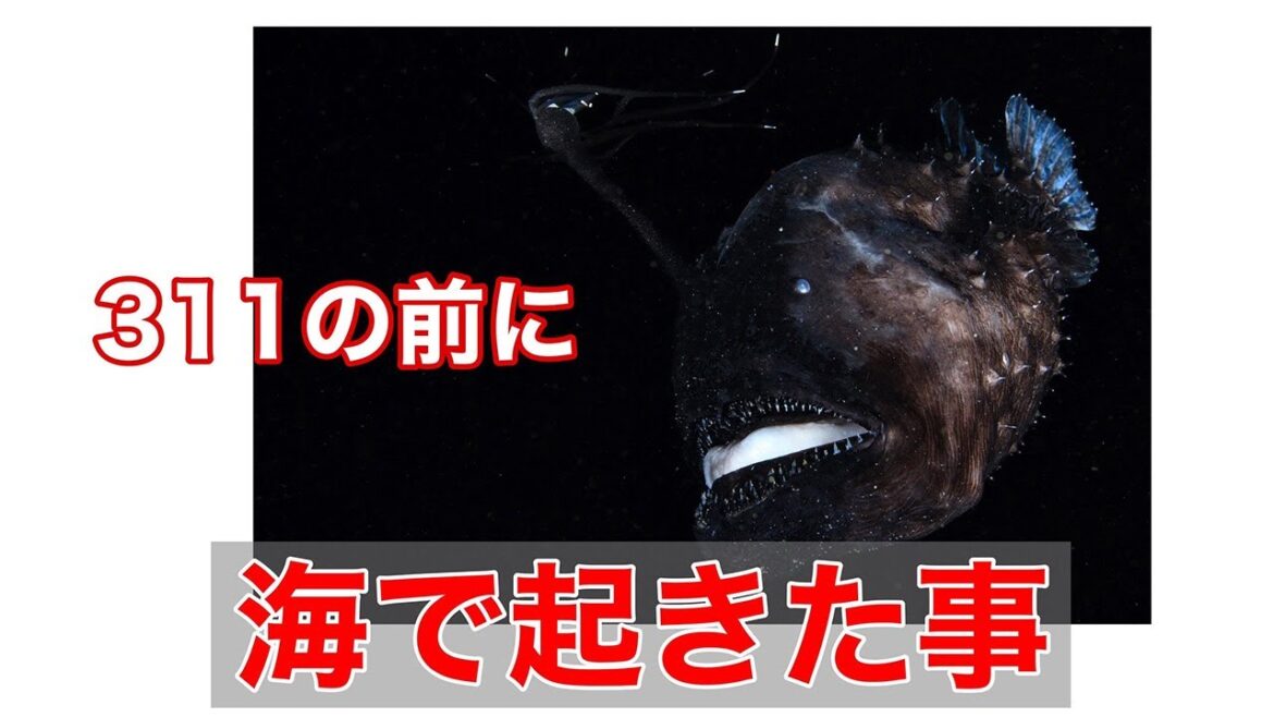 実録　311東日本大震災が起こる前に海で起きたこと