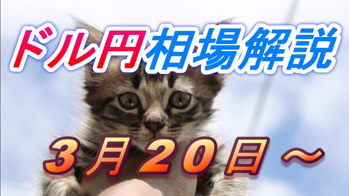 【TAKA FX】ドル円為替相場の今週の動きと来週の展望をチャートから解説。日経平均、NYダウ、金チャートも。3月20日~ 【TAKA FX】ドル円為替相場の今週の動きと来週の展望をチャートから解説。日経平均、NYダウ、金チャートも。3月20日~