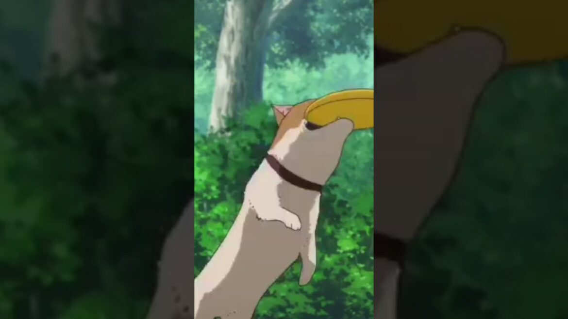 不滅のあなたへ：テレビアニメシーズン3制作決定