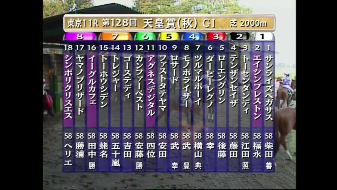 2003年天皇賞（秋）シンボリクリスエス