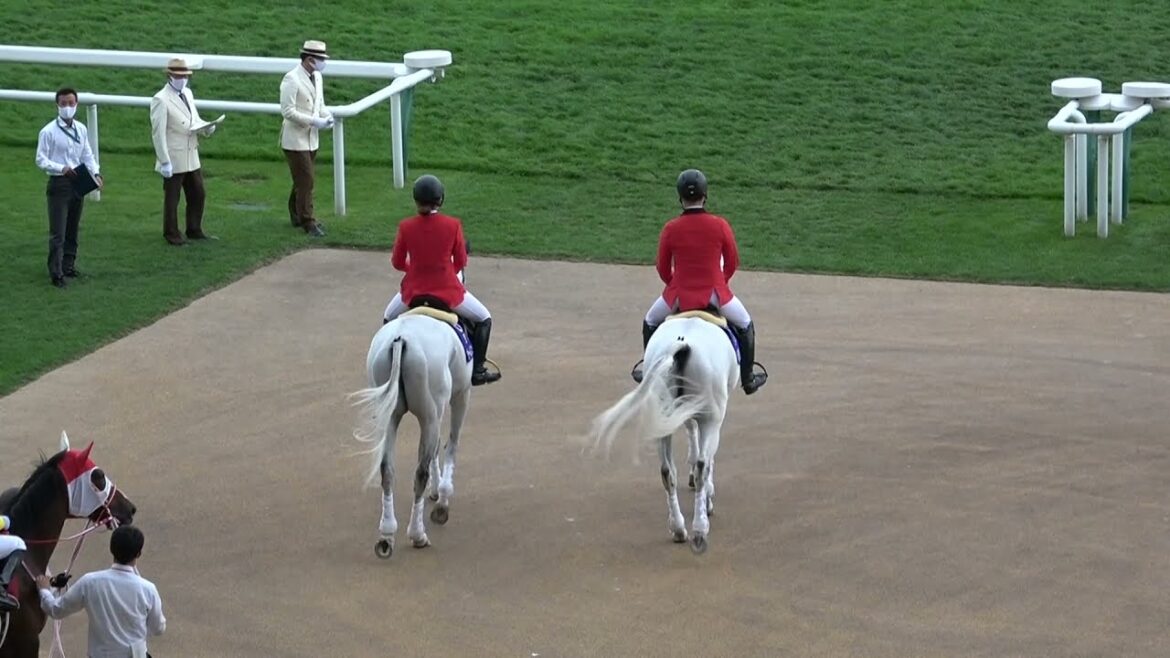 2021 第57回札幌記念GⅡ 本馬場入場 現地映像 ソダシ