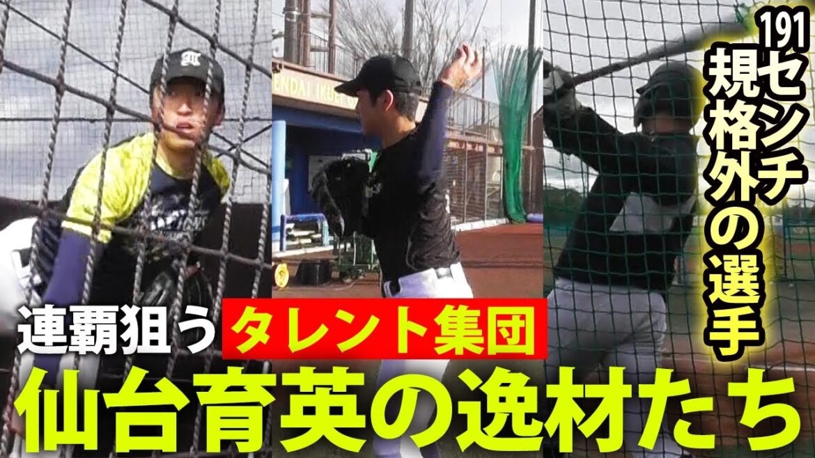 【タレント集団】191センチの逸材が放つ打球がヤバい！連覇狙う仙台育英の注目選手たち