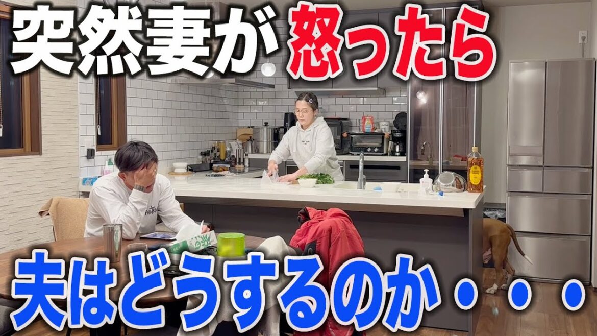 【検証】突然妻が不機嫌な態度をとったら夫はどうするのか! 【検証】突然妻が不機嫌な態度をとったら夫はどうするのか!