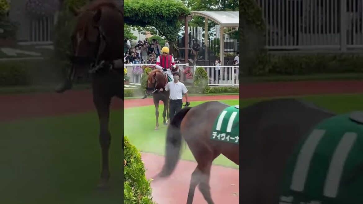 【関屋記念2022】三浦皇成大好きっ子ウインカーネリアン、自ら撫でられに来る　#shorts