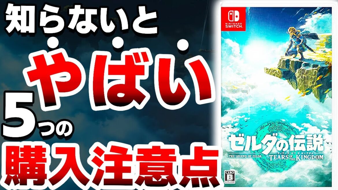 ゲーム史上最高傑作の続編「新作ゼルダ」は●●なので注意が必要です【ティアーズオブザキングダム　ブレワイ　Switch　おすすめソフト】
