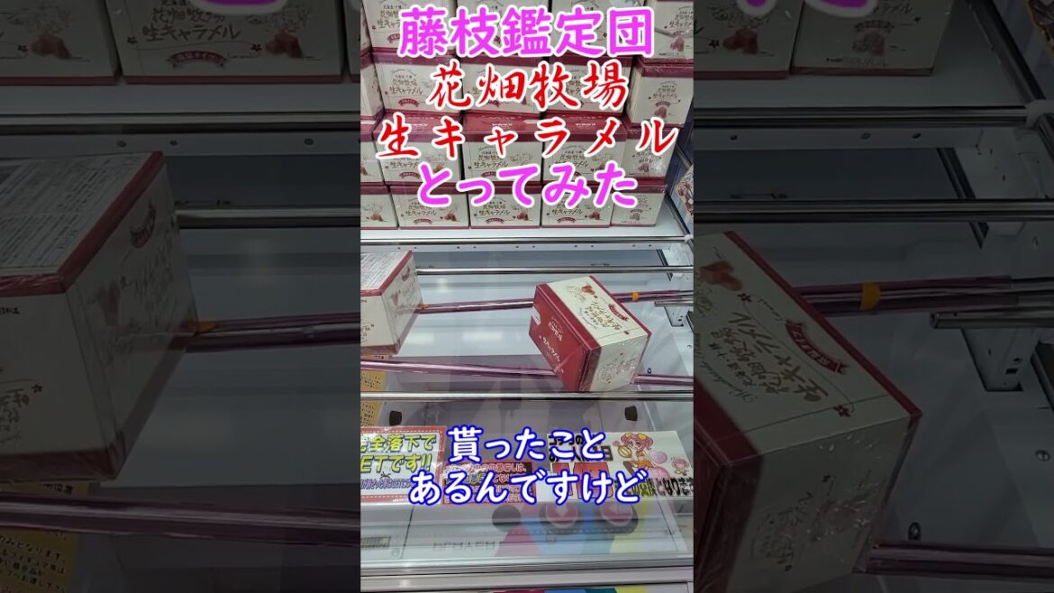 ｸﾚｰﾝｹﾞｰﾑ ｻｸｯと見れる お菓子台攻略‼︎超グルメ景品を転がすw 花畑牧場生キャラメル #shorts