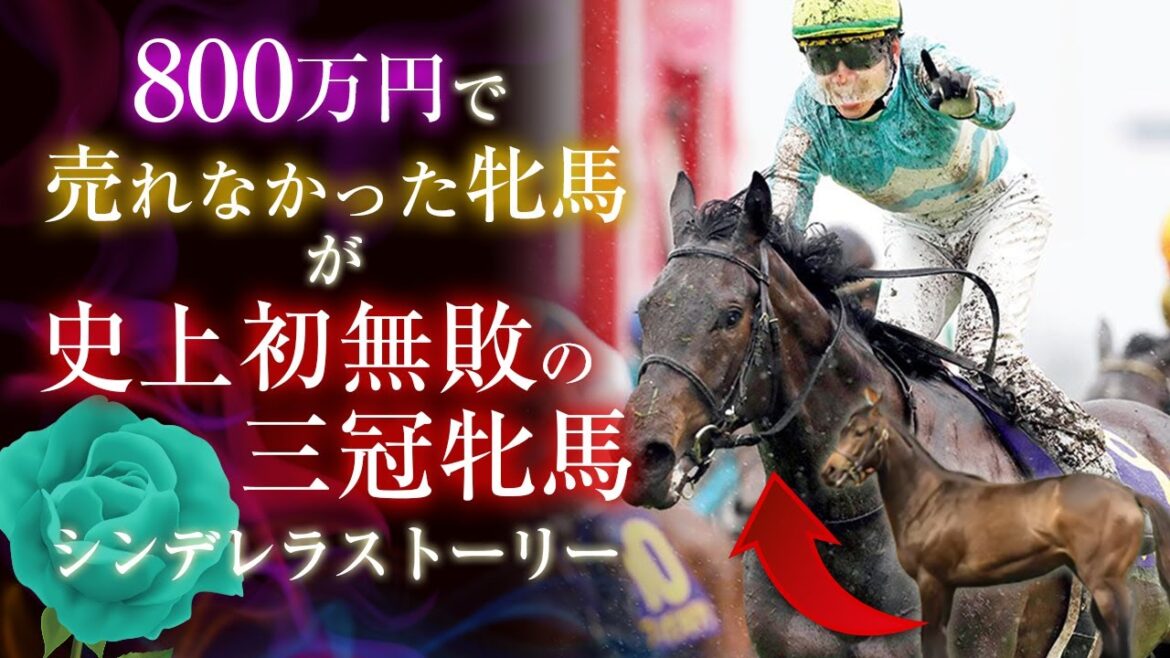 「無敗の三冠牝馬」デアリングタクトの物語！【徹底解説】[競馬予想・馬券予想]【JRA】デアリングタクト全レース（ハイライト・逸話・名勝負・引退）金鯱賞・桜花賞・オークス・秋華賞・ジャパンカップ