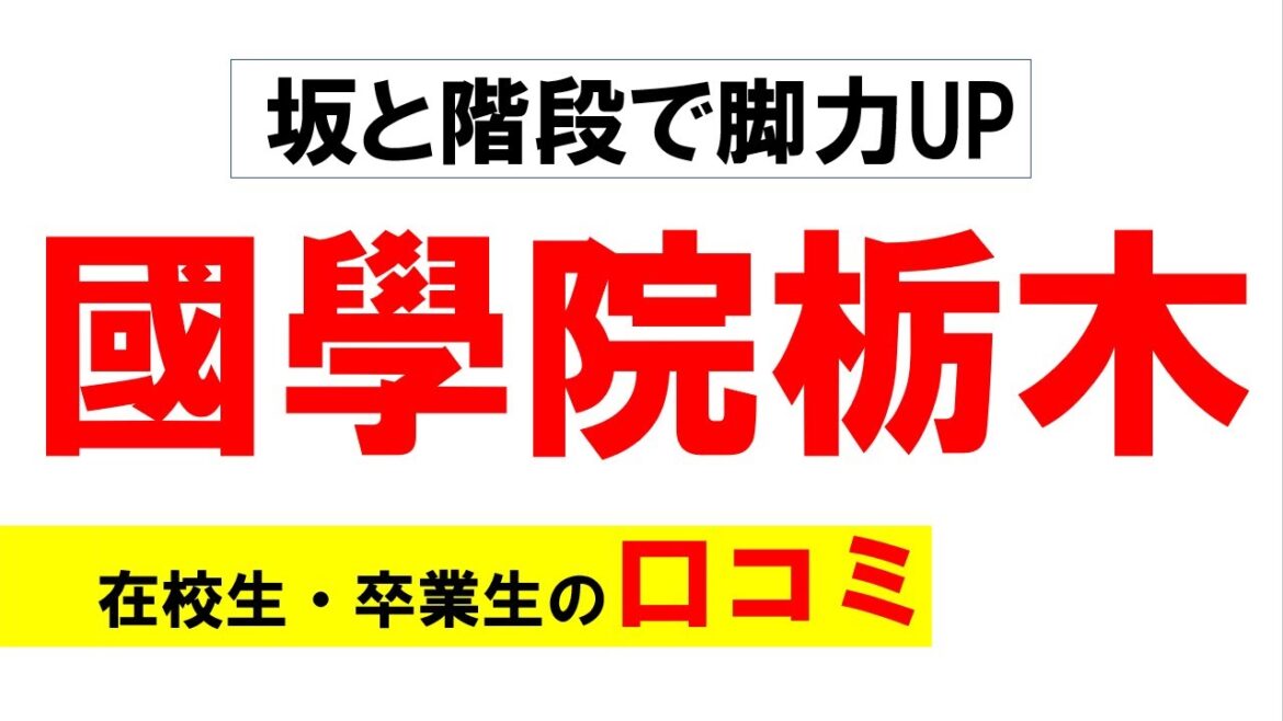 【坂がキツい】國學院栃木高校（國栃）の口コミを10個紹介します