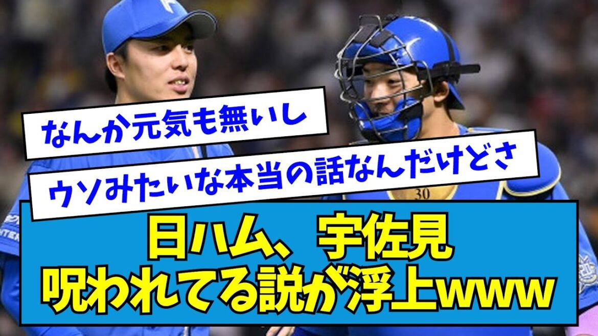【悲報】日ハム・宇佐見、呪われてる説が浮上wwwwww【なんJ反応】