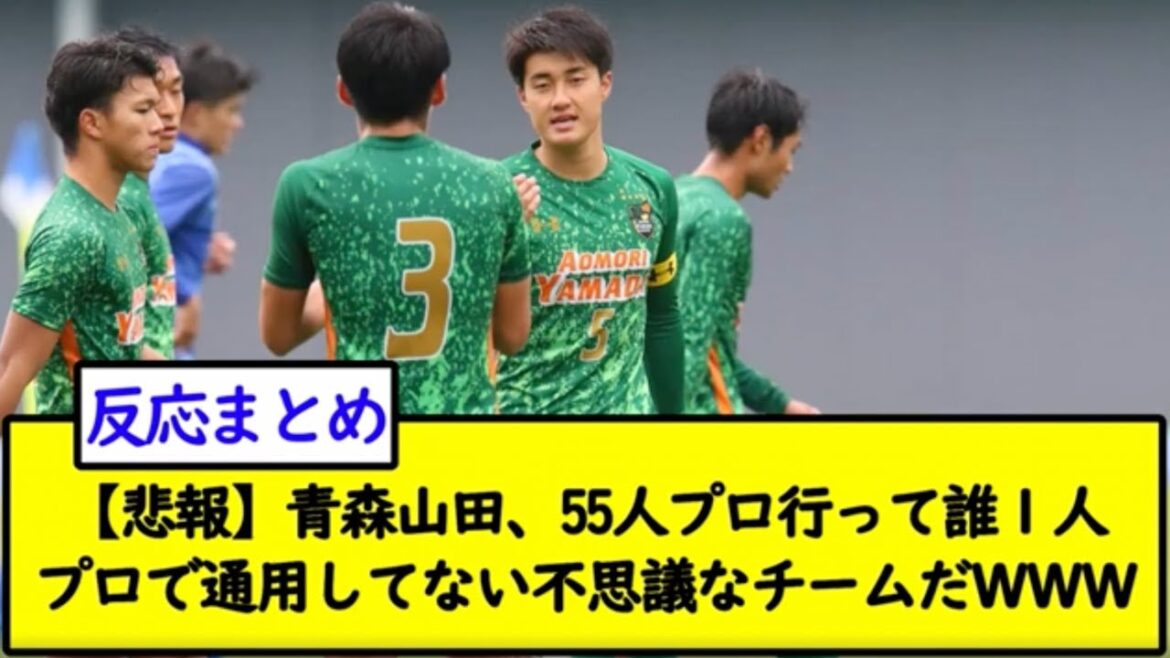 【悲報】青森山田、55人プロ行って誰１人プロで通用してない不思議なチームだＷＷＷ 【2chサッカースレ】