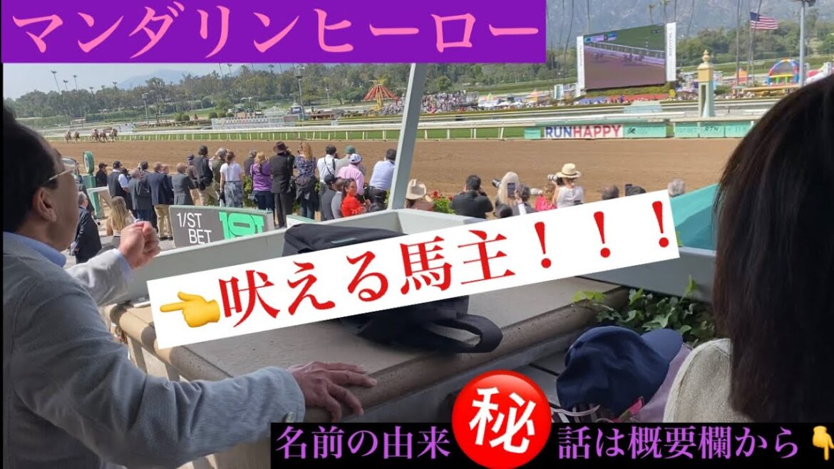 サンタアニタダービー2023大井競馬場からケンタッキーダービー出場なるか！？マンダリンヒーロー(藤田調教師)Santa Anita Derby 2023 Mandarin Hero