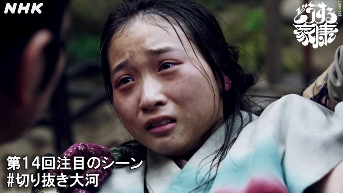 信長と家康を救う！阿月(伊東蒼)が命がけで伝えた市(北川景子)からのメッセージ。| 切り抜き大河 | 大河ドラマ「どうする家康」| NHK