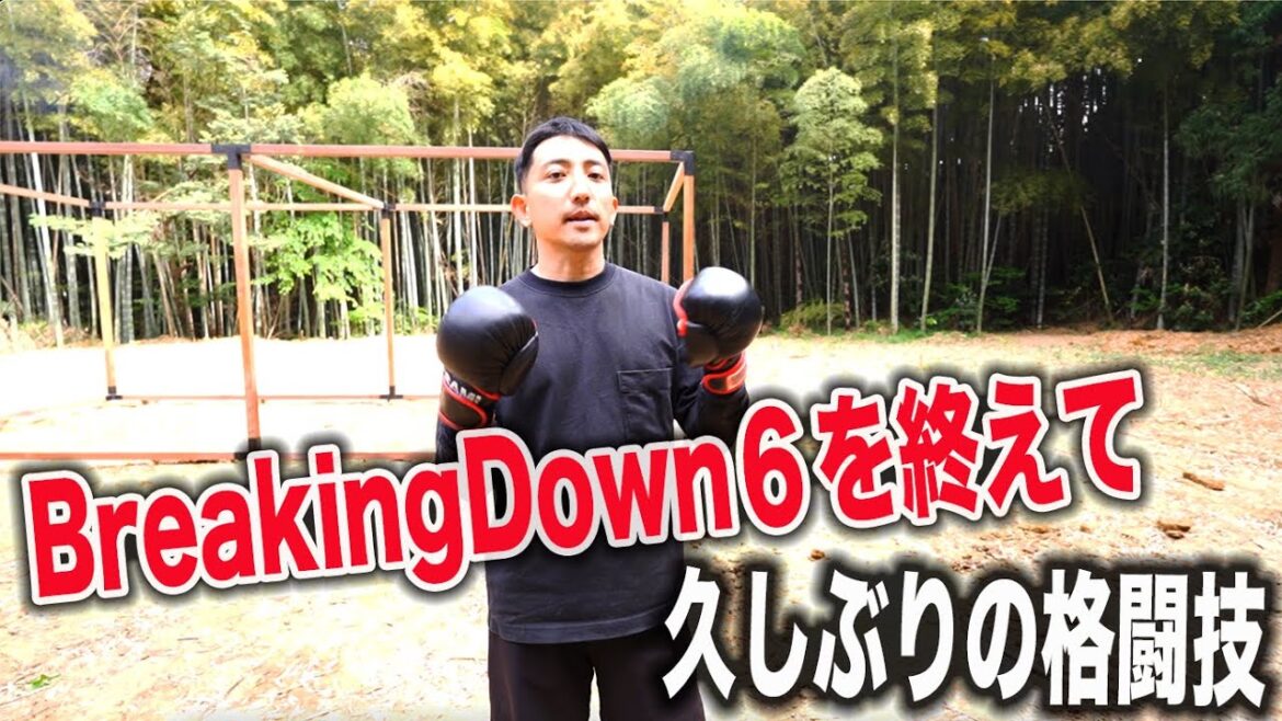 新たな挑戦へ向けて格闘技を再始動❗️