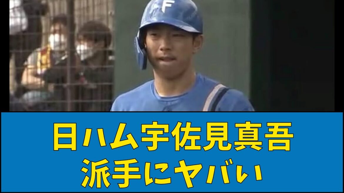 日ハム宇佐見真吾 派手にヤバい【なんJ反応】【プロ野球反応集】【2chスレ】【1分動画】【5chスレ】