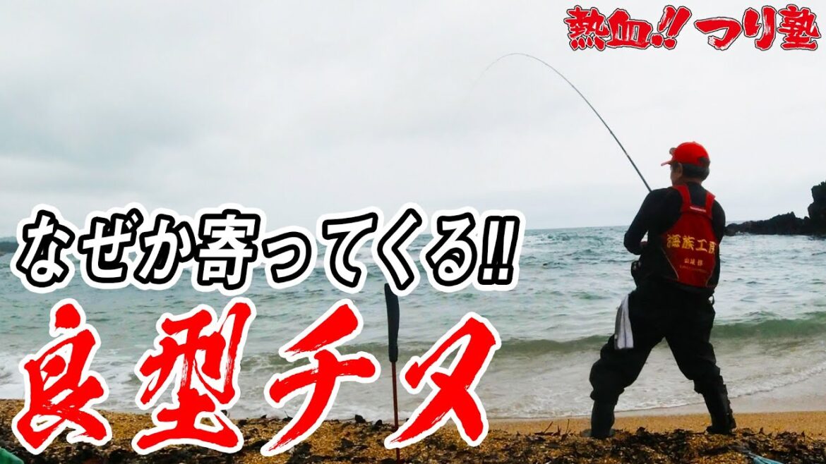 梅雨入り前もチヌ絶好調！！