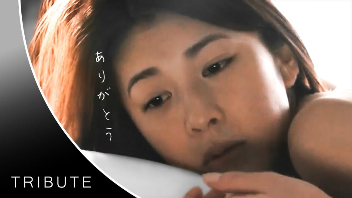 竹内結子 | ありがとう。。【誕生日動画】