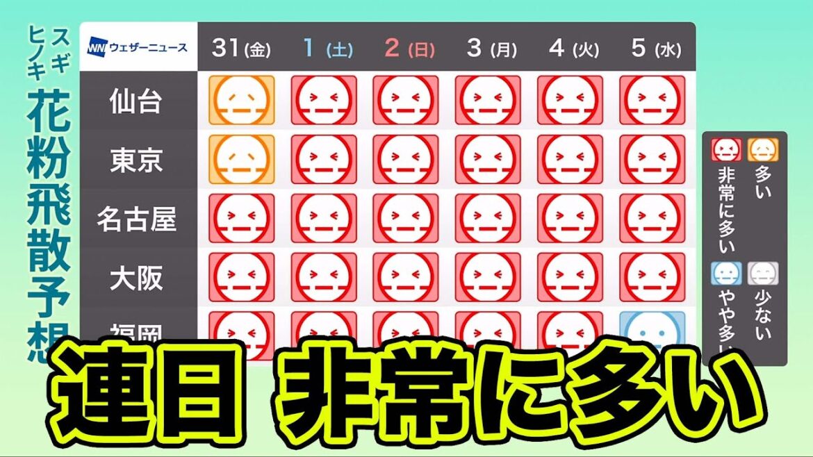 花粉飛散予想　連日「非常に多い」予想