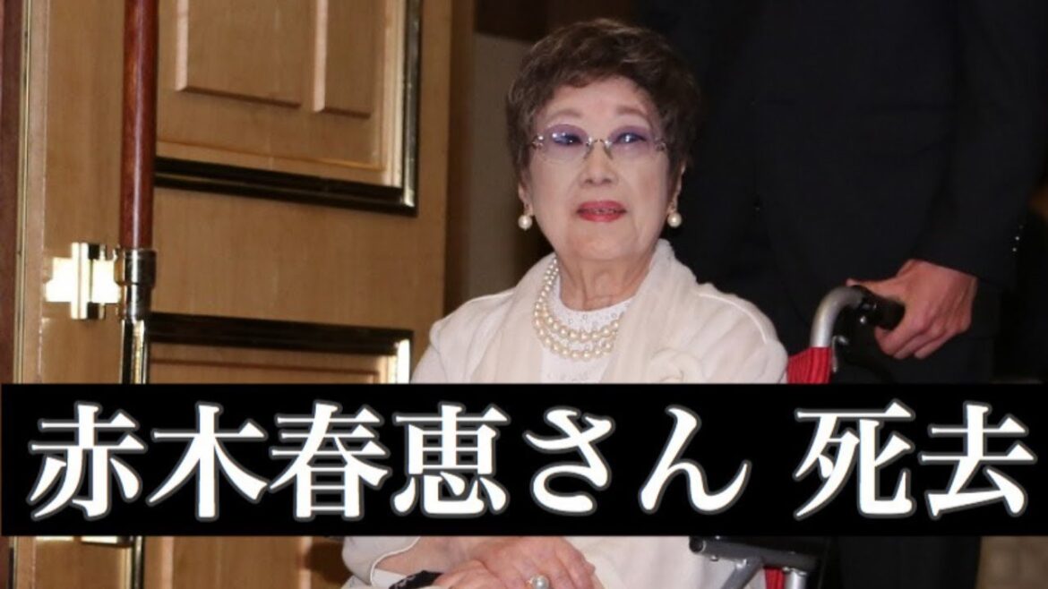 赤木春恵さん　心不全のため死去　９４歳　所属事務所「最期は眠るように」　おしん、渡鬼に出演