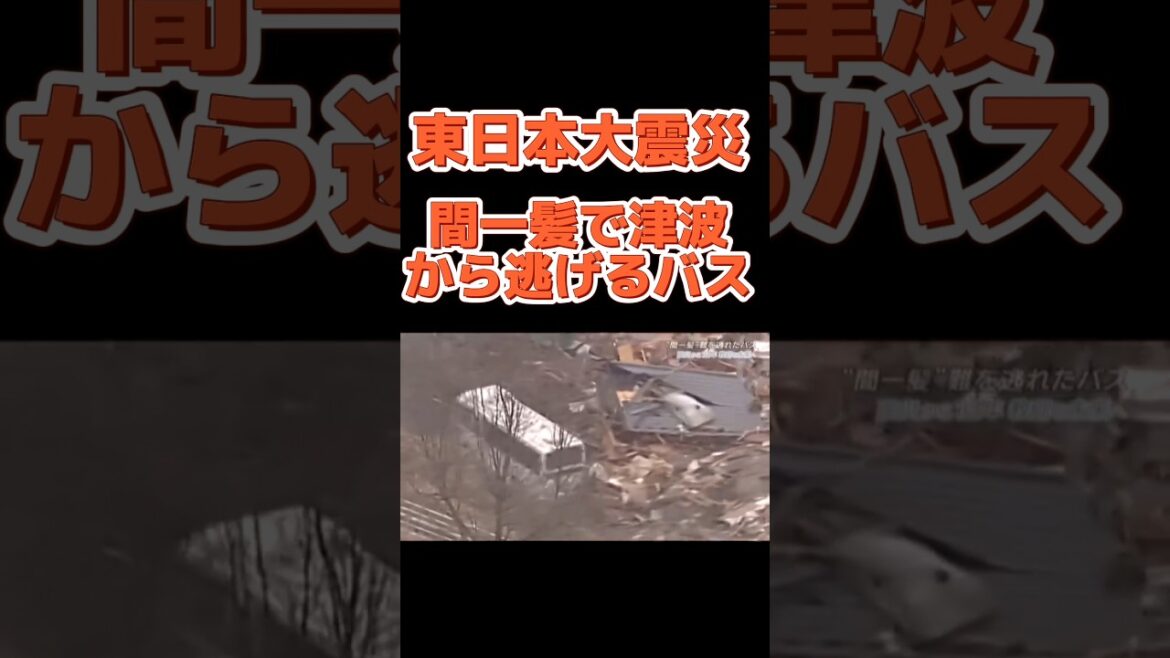 間一髪で津波から逃げるバス #shorts #short #東日本大震災