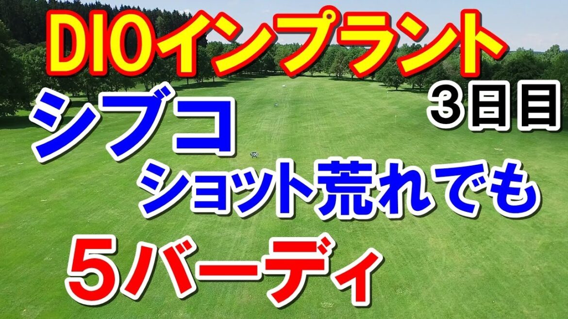 シブコ5バディ!アメリカ女子ゴルフツアーDIOインプラント3日目 畑岡奈紗まだ優勝争い圏内 勝みなみ・西村優菜も健闘! シブコ5バディ!アメリカ女子ゴルフツアーDIOインプラント3日目 畑岡奈紗まだ優勝争い圏内 勝みなみ・西村優菜も健闘!