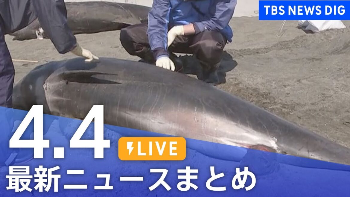 【LIVE】最新ニュースまとめ /Japan News Digest| TBS NEWS DIG（4月4日）