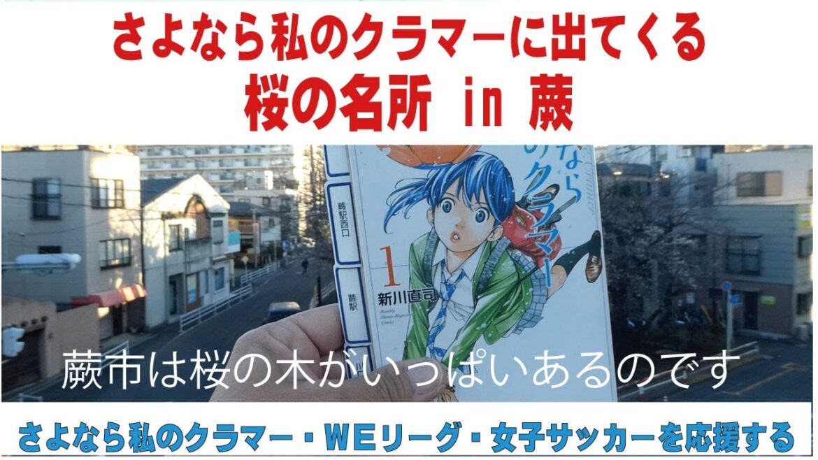さよなら私のクラマーに出てくる 桜の名所in蕨　さよなら私のクラマーを通して女子サッカーを応援する　蕨さよクラ応援団
