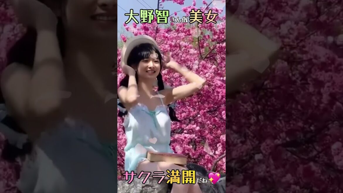 嵐大野智さん似美女の桜満開をみて微笑むシーン😍#shorts