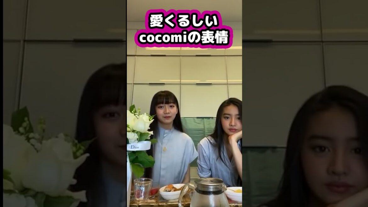 【キムタク娘】うーって感じの表情 #cocomi #koki #キムタク #娘 #工藤静香 #Shorts