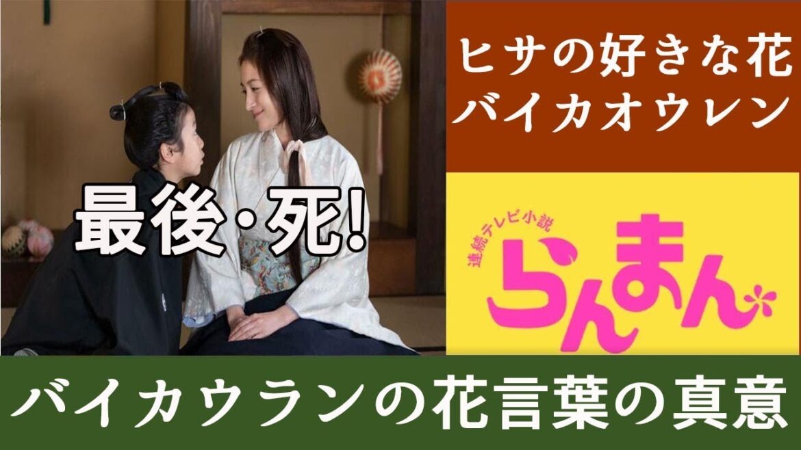 【らんまん】「広末涼子さんの最期と死について！バイカウランの花言葉の真意」