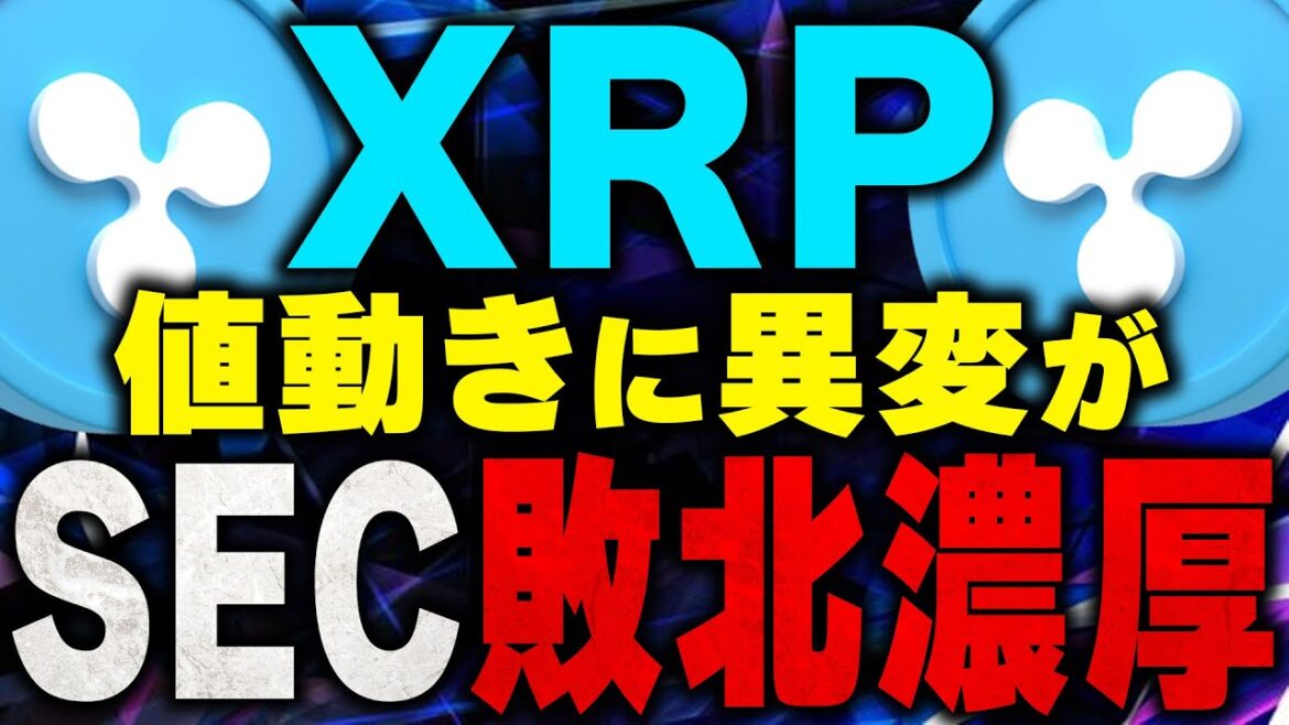 【リップル仮想通貨】裁判の最新情報！SECが厳しい展開に！Rippleの勝訴は202◯年に!?【ビットコイン(BTC)】