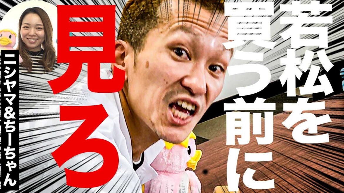 ボートレース若松攻略情報