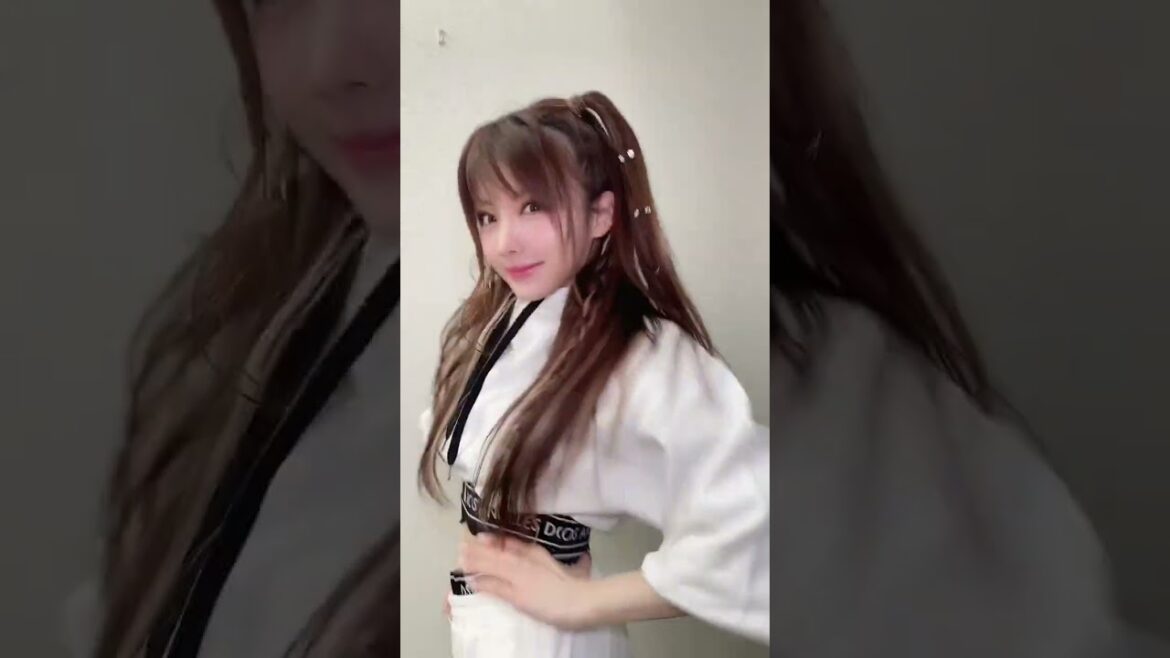 田中れいな 『LIKE IT LIKE IT · SECRET NUMBER 』
