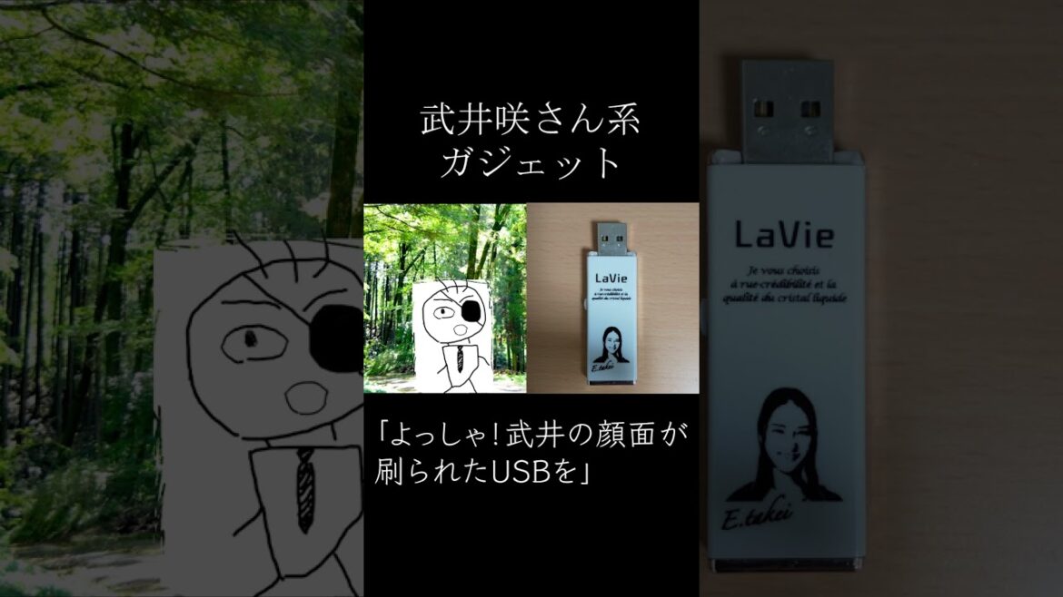 武井咲さん系ガジェット　#shorts