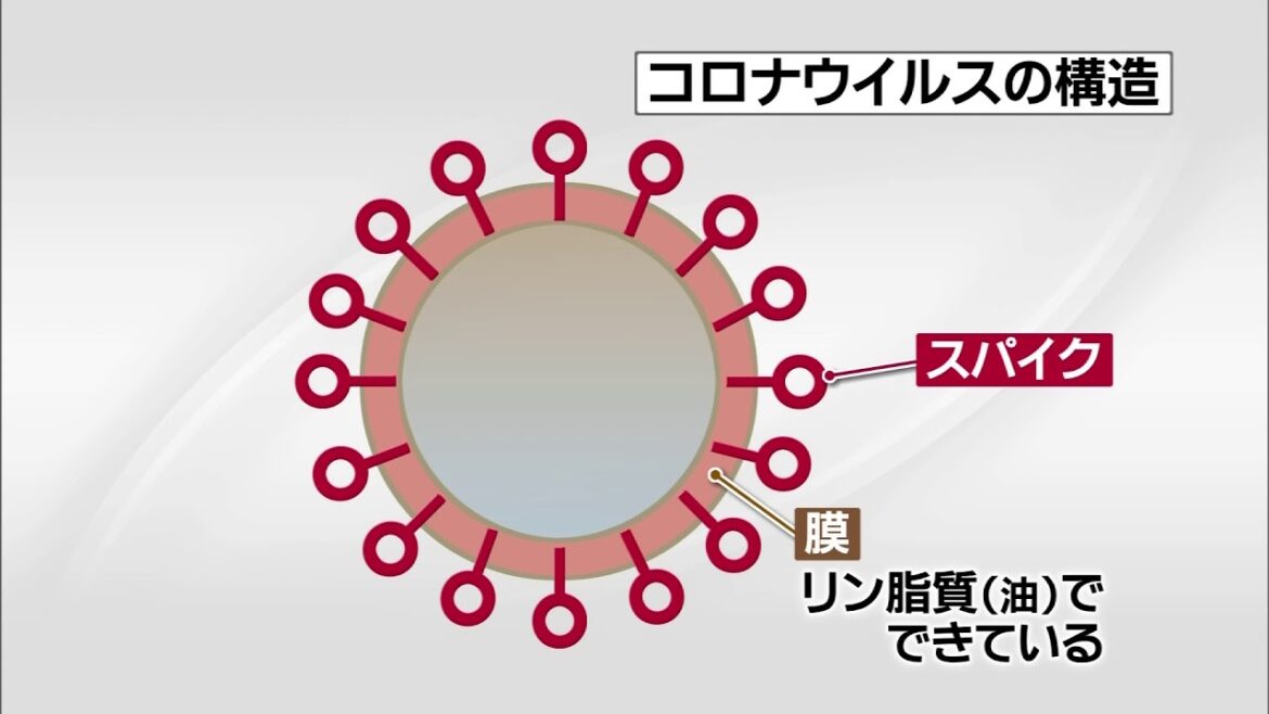 新型コロナ対策　コロナウイルスとは（ＭＲＴ宮崎放送）