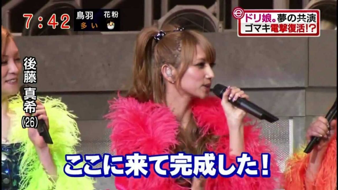 ドリーム モーニング娘。 vs. 石黒彩 vs. 後藤真希 vs. 辻希美