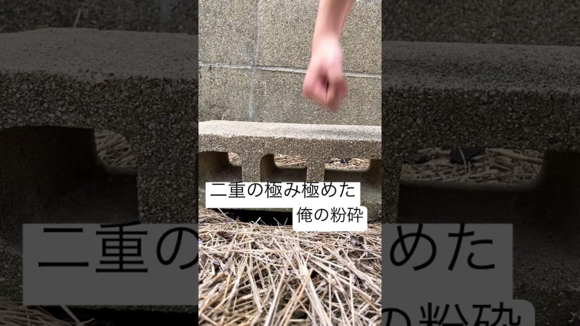 二重の極みを習得した俺の粉砕　#るろうに剣心 #相良左之助　#緋村剣心　#最強