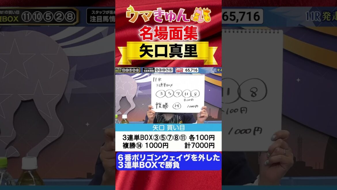 【10万馬券的中】矢口真里 １番人気を外して３連単勝負!!【京浜盃】