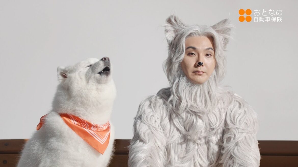 松田龍平、まさかの犬役!?　“不安”役の温水洋一とコミカルな掛け合い　「おとなの自動車保険」新CM