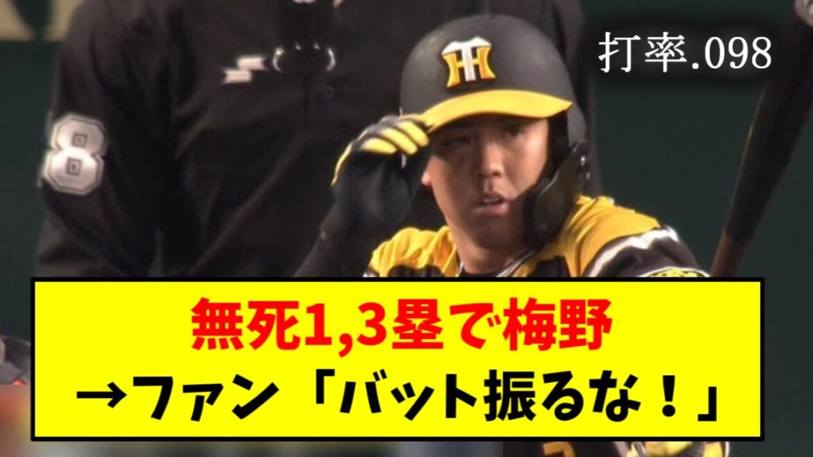 2番梅野、チャンスで回ってくる→阪神ファン「三振しろ」