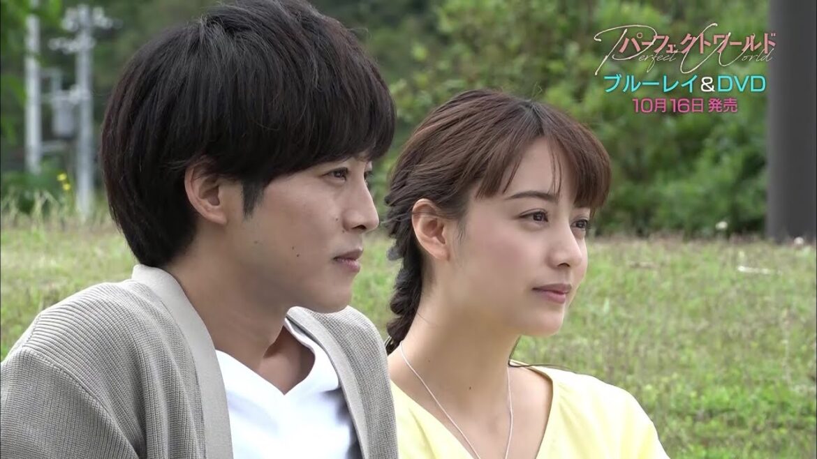 【特典映像96分！】ドラマ「パーフェクトワールド」ブルーレイ＆DVD BOX発売PR