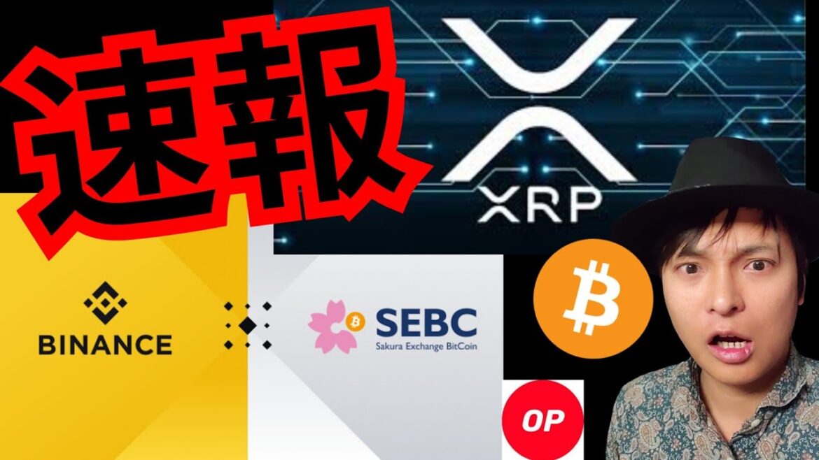【速報】リップルとバイナンスジャパンの重要ニュース！！　仮想通貨 BTC ETH XRP OP 相場分析 ビットコイン イーサリアム Optimism