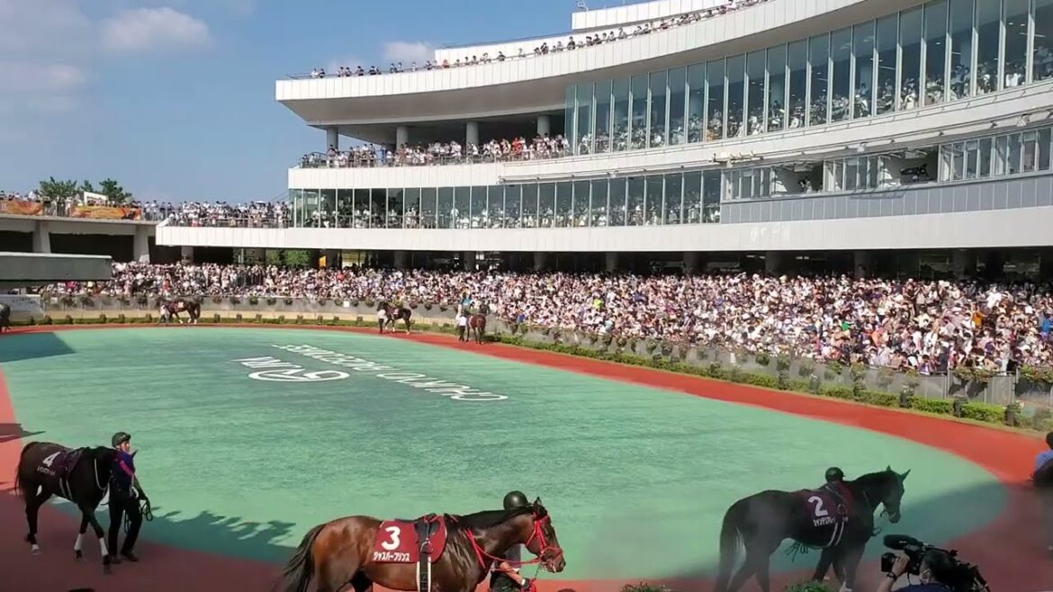 2022/9/11 中京競馬11R セントウルステークス　パドック