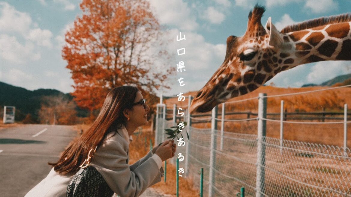 Cinematic Edition】#54 新木優子のjalan jalan（街ぶら）in 山口