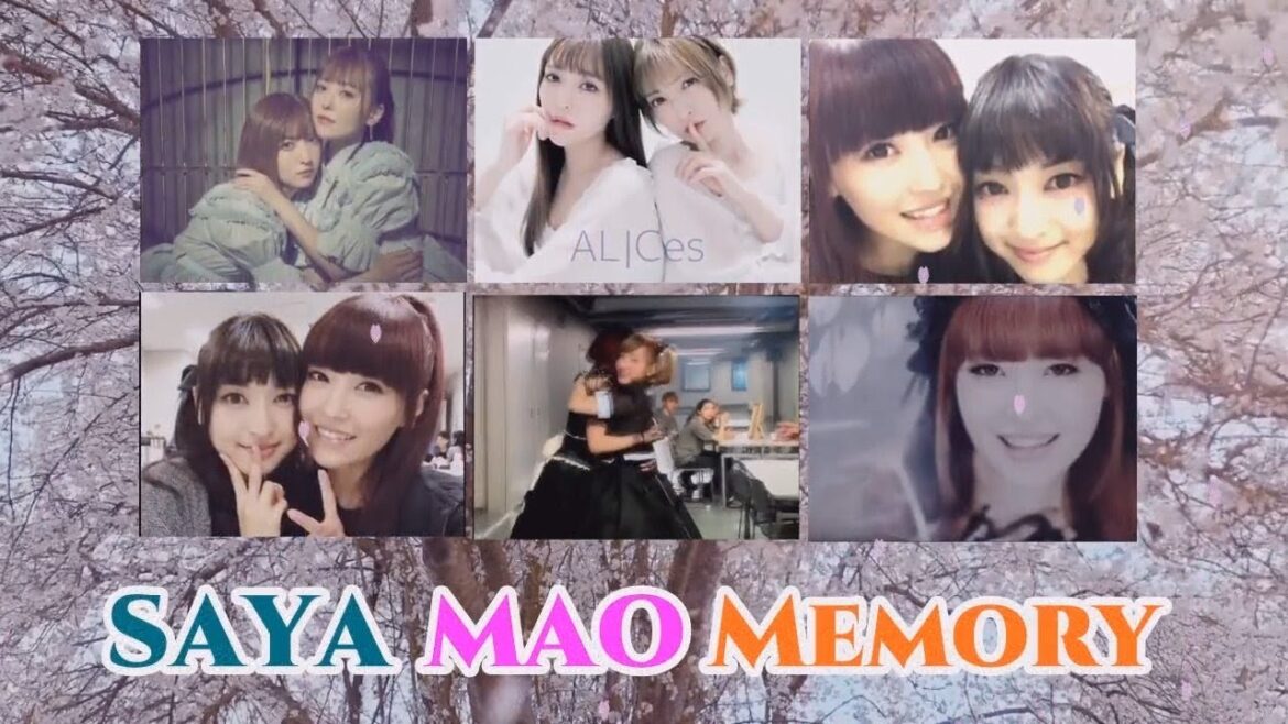 SAYA MAO Memory