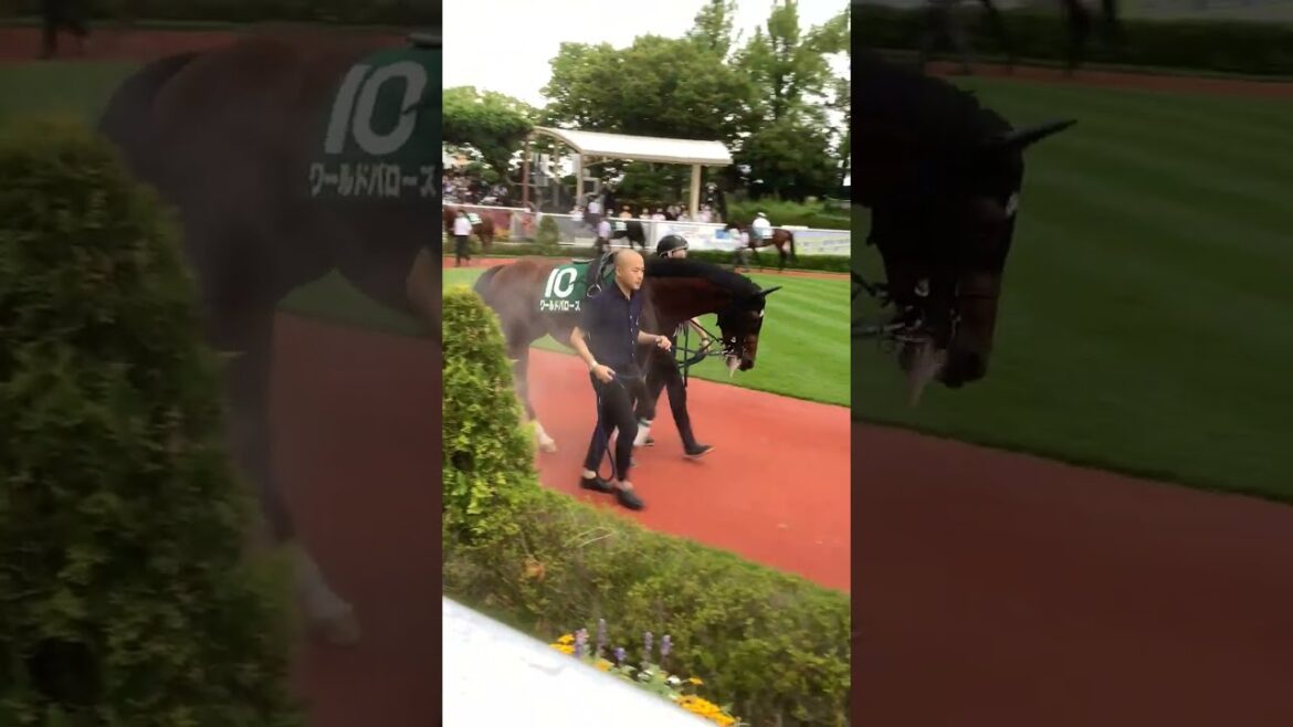 【関屋記念2022】ワールドバローズ、馬っ気からのいつものベロベロ　#shorts