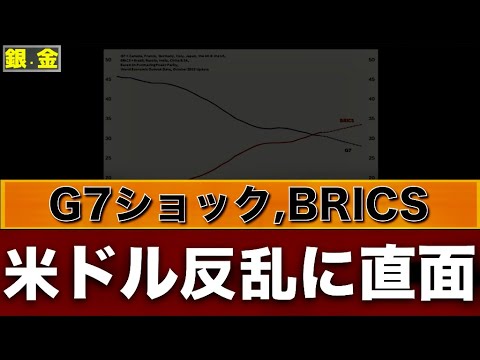 ドル離れを加速するトランプ氏起訴、ブラジル反乱・フランスの決断 ドル離れを加速するトランプ氏起訴、ブラジル反乱・フランスの決断