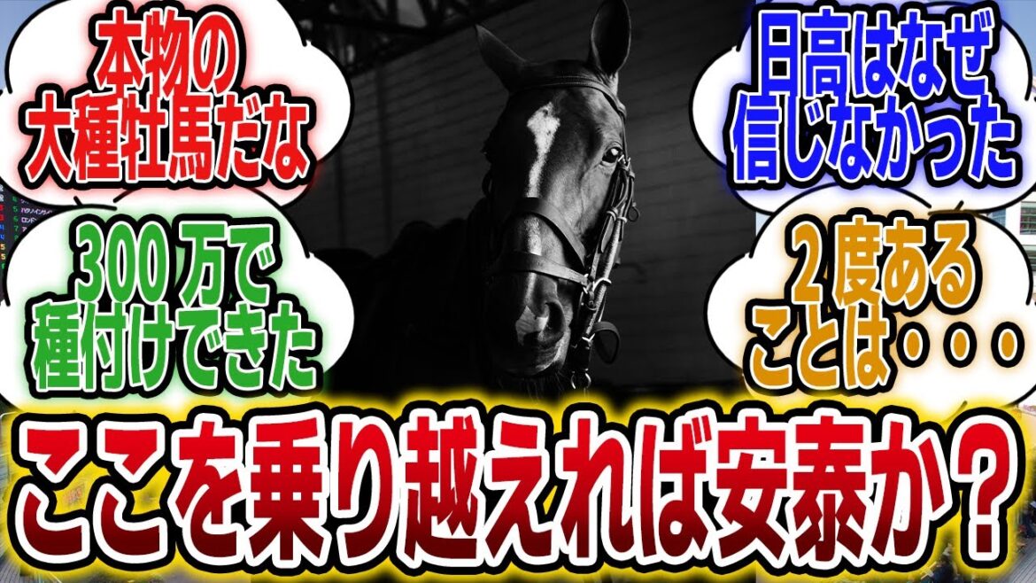 「来年のキタサンブラック産駒がヤバい？！」に対するみんなの反応【競馬の反応集】