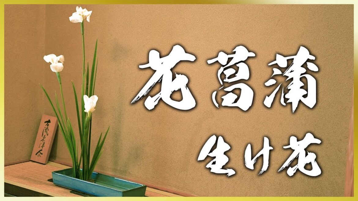 【どうやってるの？】生け花の「葉組み」を花菖蒲で説明します！