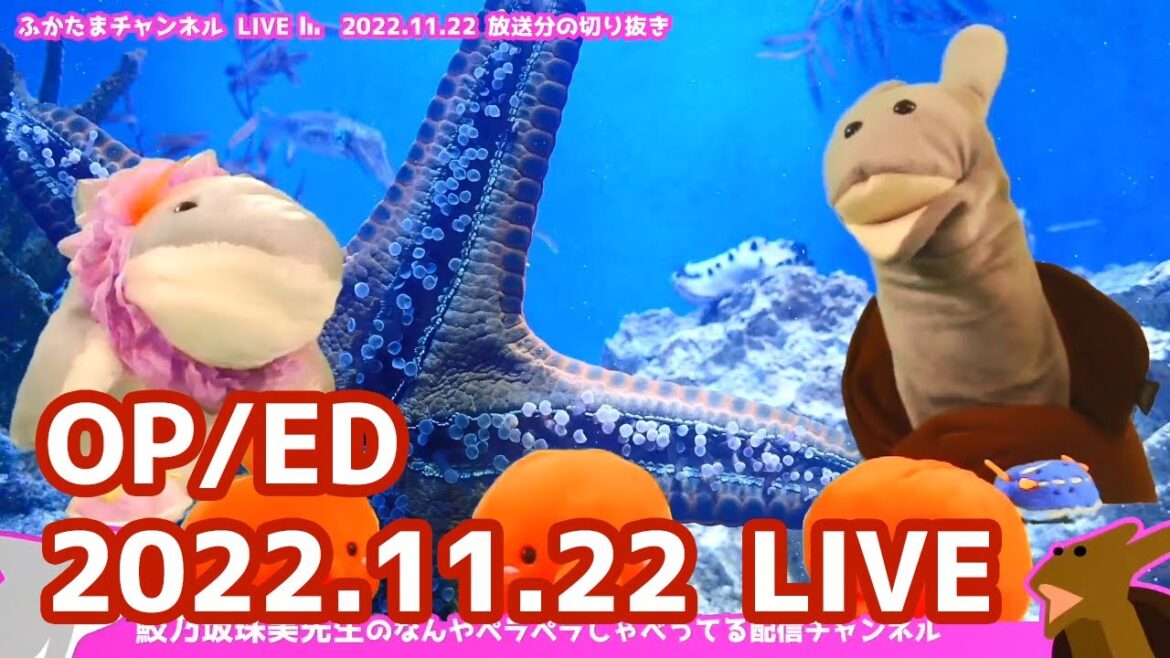 【ふかたま雑談LIVE】2022.11.22 OP & ED：真木よう子恥ずかしくて記事削除・韓国また泥棒など ─ 鮫乃坂先生のなんやペラペラしゃべってる配信チャンネル のライブ配信【切り抜き】
