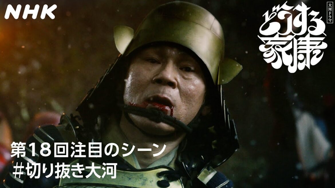 【家康の命を救った男】夏目広次(甲本雅裕)の最期 | 大河ドラマ「どうする家康」| NHK